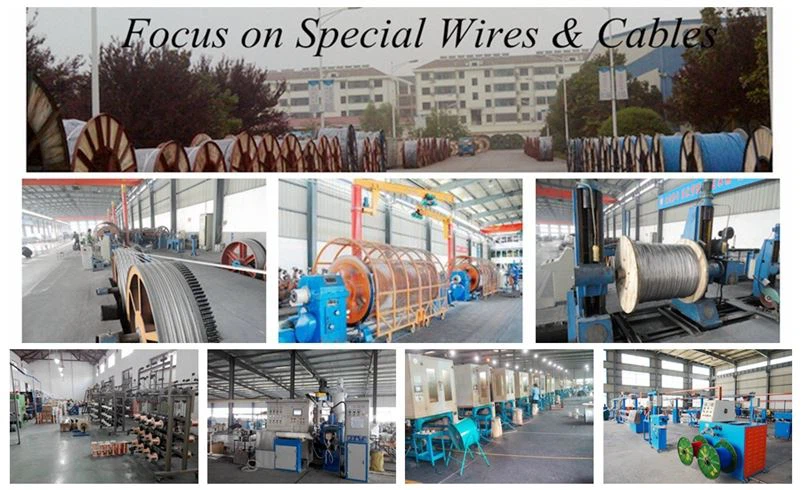 cable manufacturer