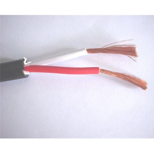 black speaker cable