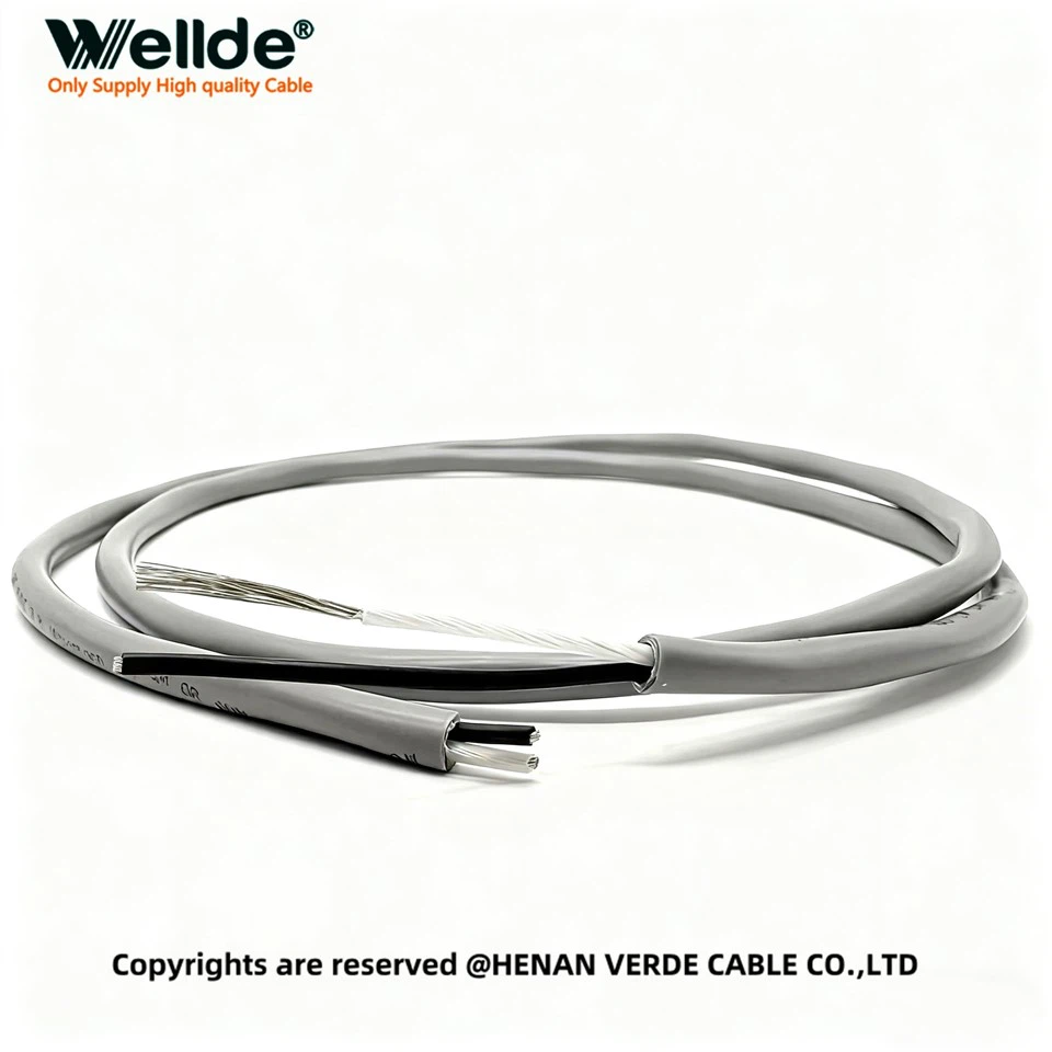 2 core 16 AWG Unshielded PVC Control Cable