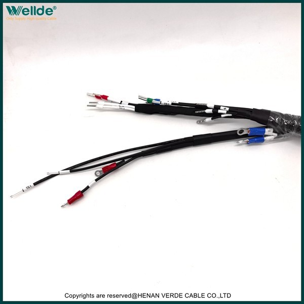 Customized Wiring Harness high quality