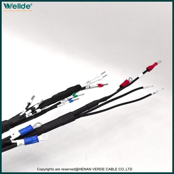 Customized Wiring Harness