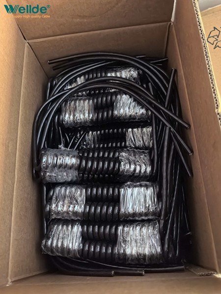 news-450-600 news-450-600