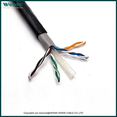 Cat6 UTP Network Cable