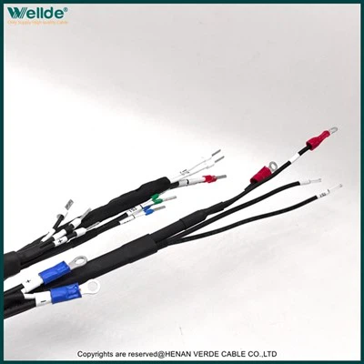 Customized Wiring Harness